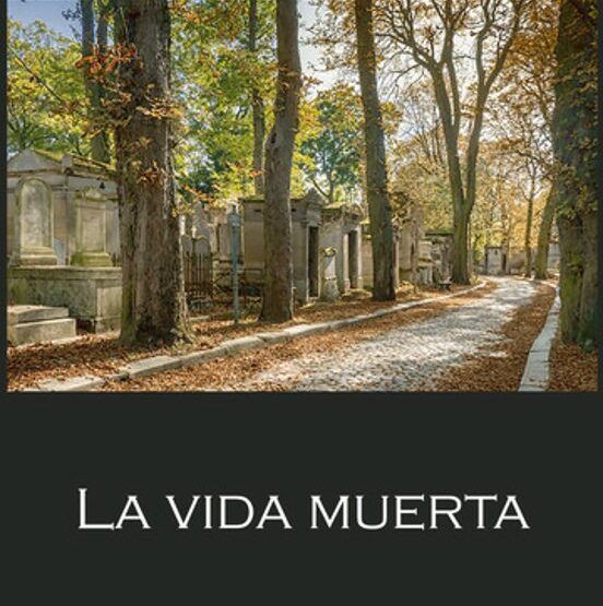 "La vida muerta": Un libro que te hará mirar el más allá con otros ojos